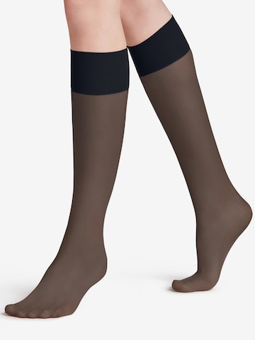 FALKE Knee High Socks 'Pure Matt' in Blue: front