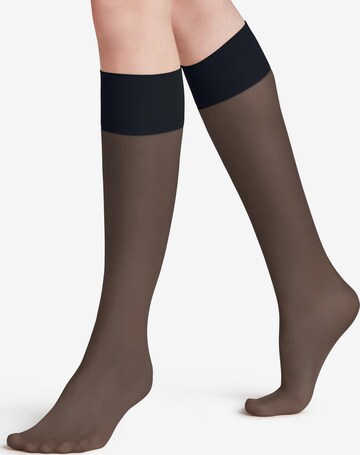 FALKE Knee High Socks 'Pure Matt' in Blue: front