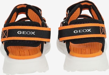 GEOX Sandalen in Oranje