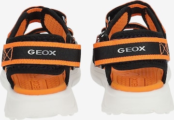 Sandales GEOX en orange