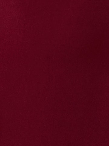 BWLDR Kleid in Rot