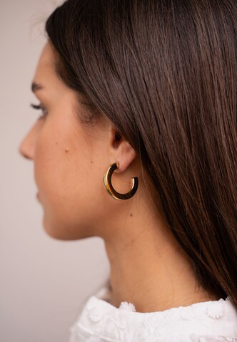 My Jewellery Earrings in Gold: front