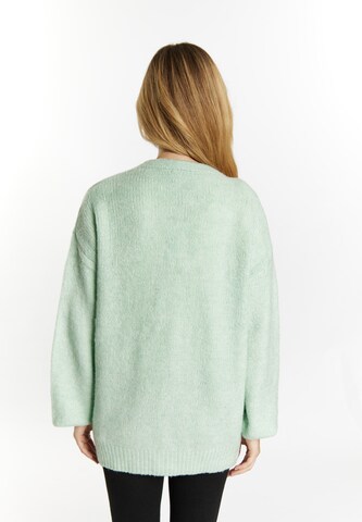 Pull-over Usha en vert