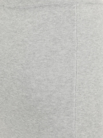 Gonna di Tally Weijl in grigio