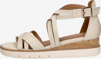Tamaris Sandale 'Sandalen Plat' in 42 in offwhite, Produktansicht