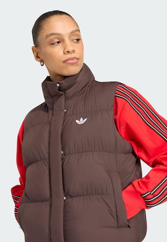 ADIDAS ORIGINALS - Colete em castanho