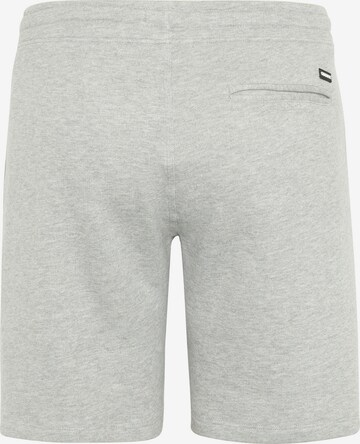 CHIEMSEE Regular Pants in Grey