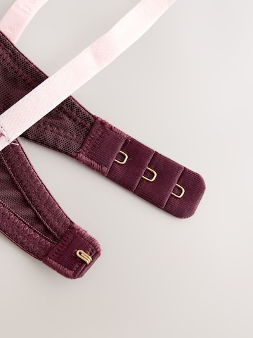 B by Ted Baker - Push-up Sujetador en lila