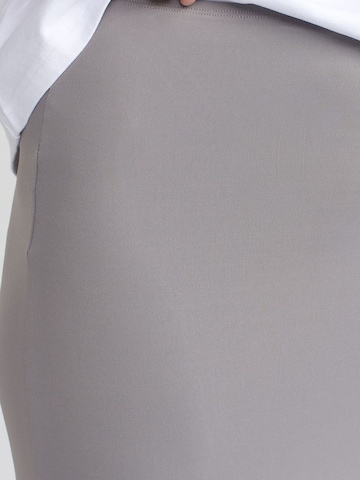 Dilvin Skirt in Grey