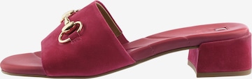 Högl Mule 'Nella' in Pink: front