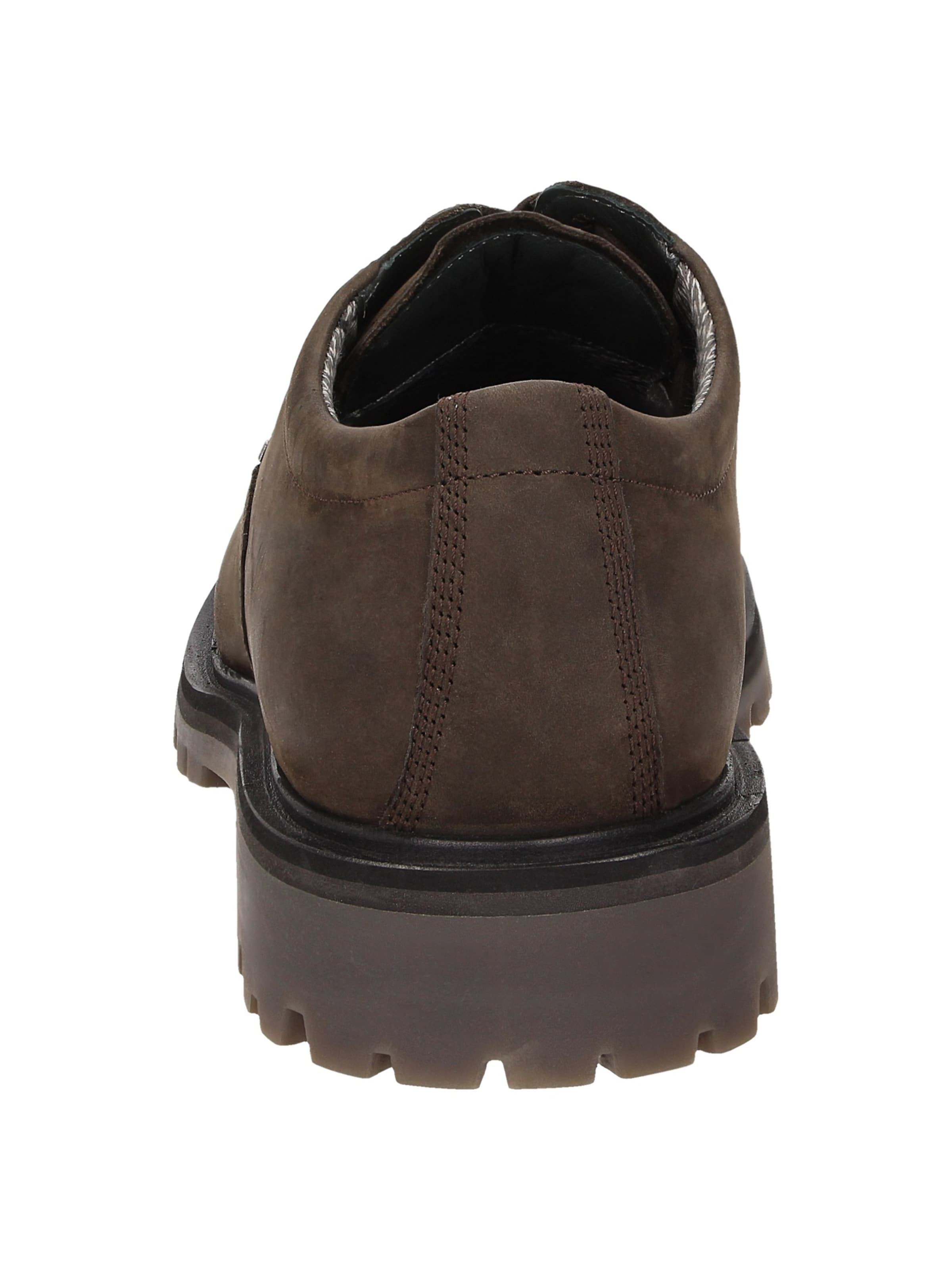 SIOUX Veterschoen 'Asparuno' in Bruin
