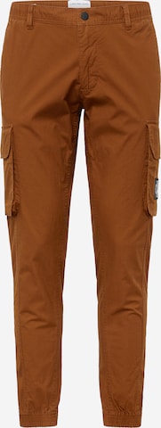 Calvin Klein Jeans Skinny Kargo hlače | rjava barva: sprednja stran