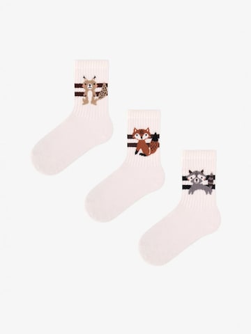 Penti Sokken 'PENTI Jungen Tiny Tails 1 Paar Socken' in Bruin: voorkant