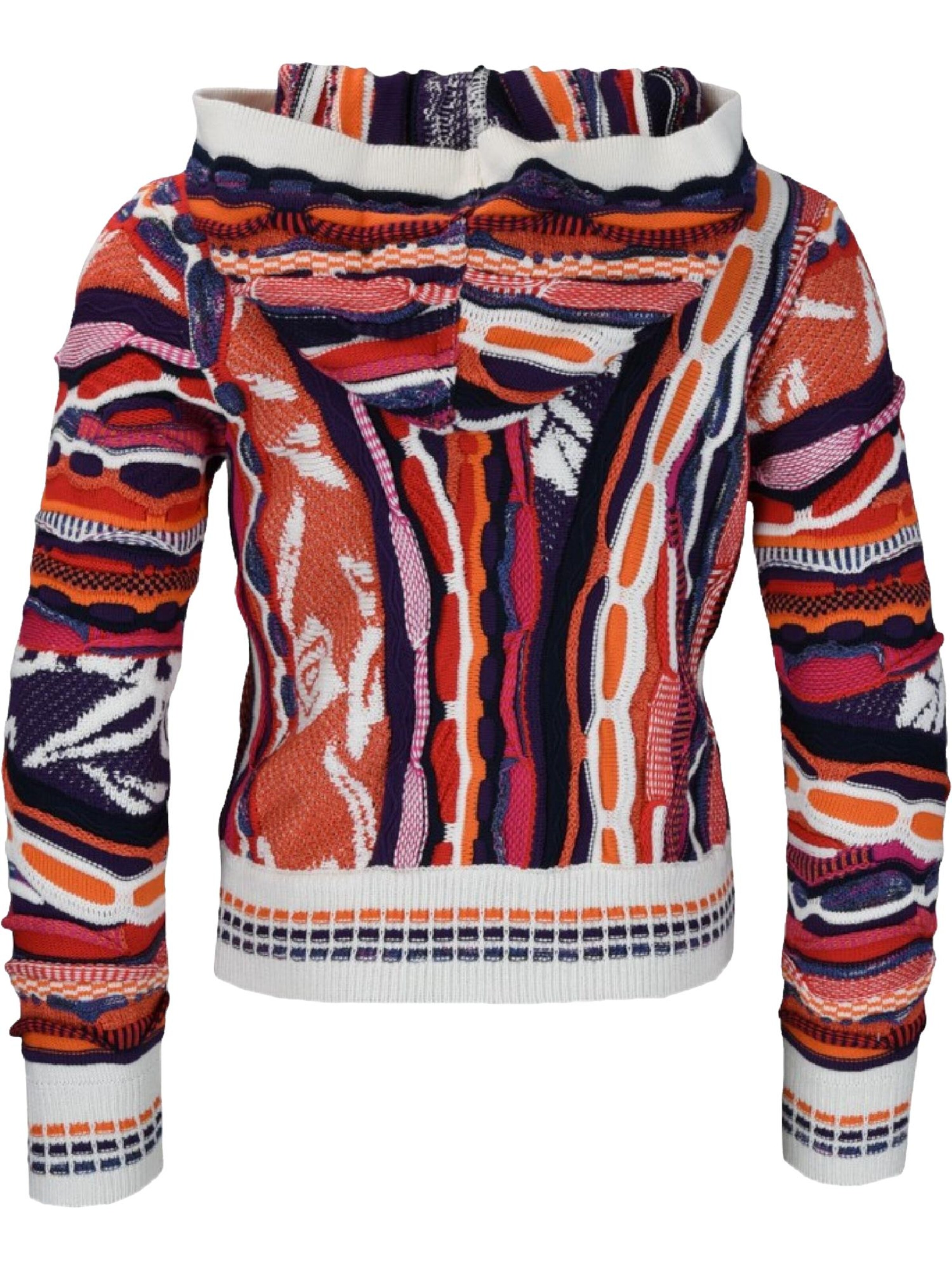 Carlo Colucci Sweater 'Castriotta' in Mixed colors