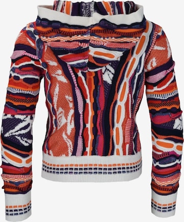 Carlo Colucci Sweater 'Castriotta' in Mixed colors