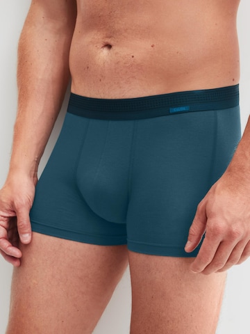 CALIDA Boxer shorts 'Focus' in Green