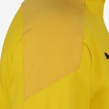 Vestes d’entraînement 'TeamGoal 23' PUMA en jaune