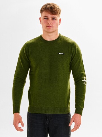 Dxnmxrk Pullover 'DXBjarne' in Grün: Vorderseite