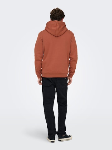 Only & Sons Sweatshirt 'ONSConnor' in Braun
