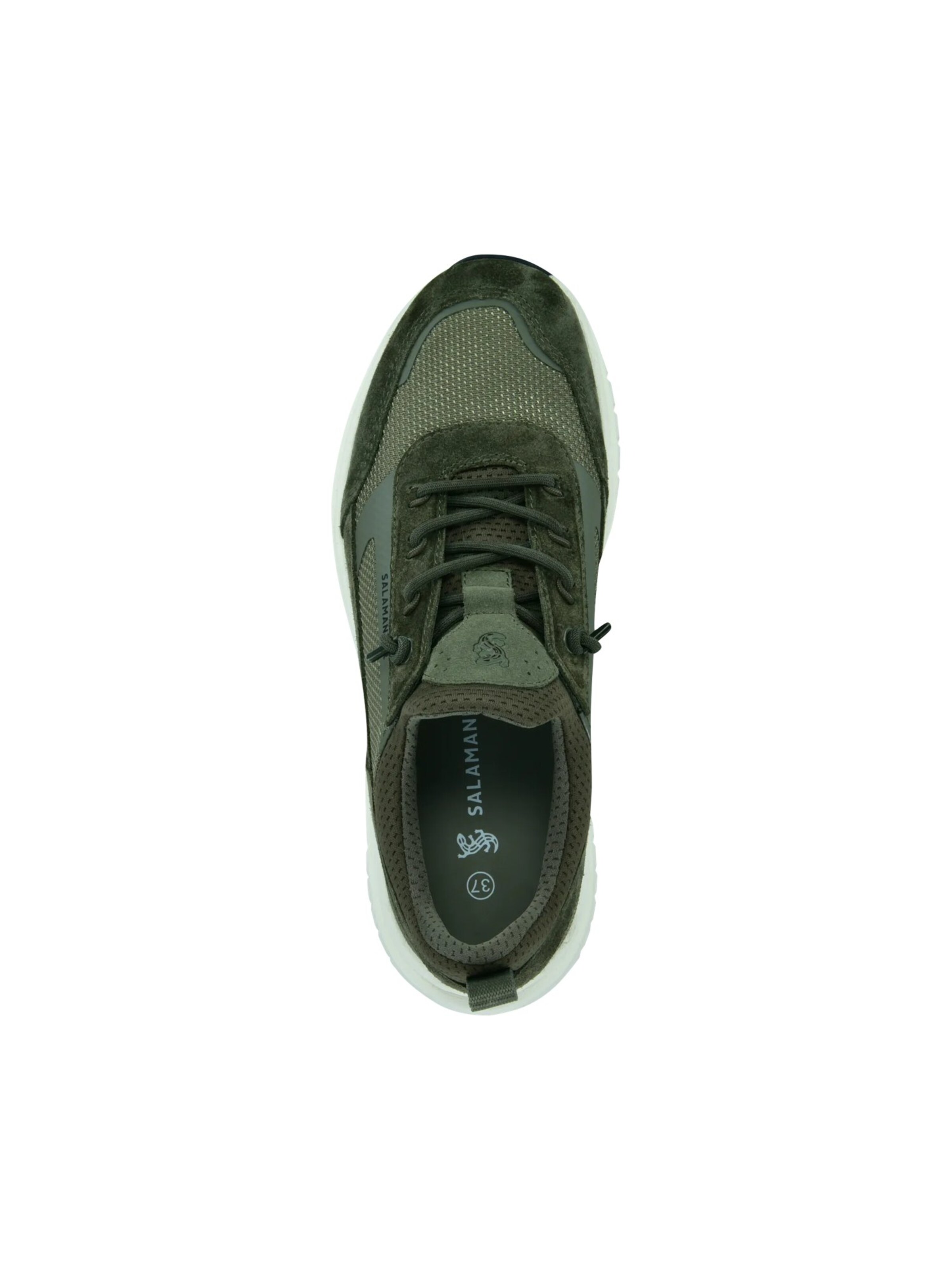SALAMANDER Sneaker in Grün