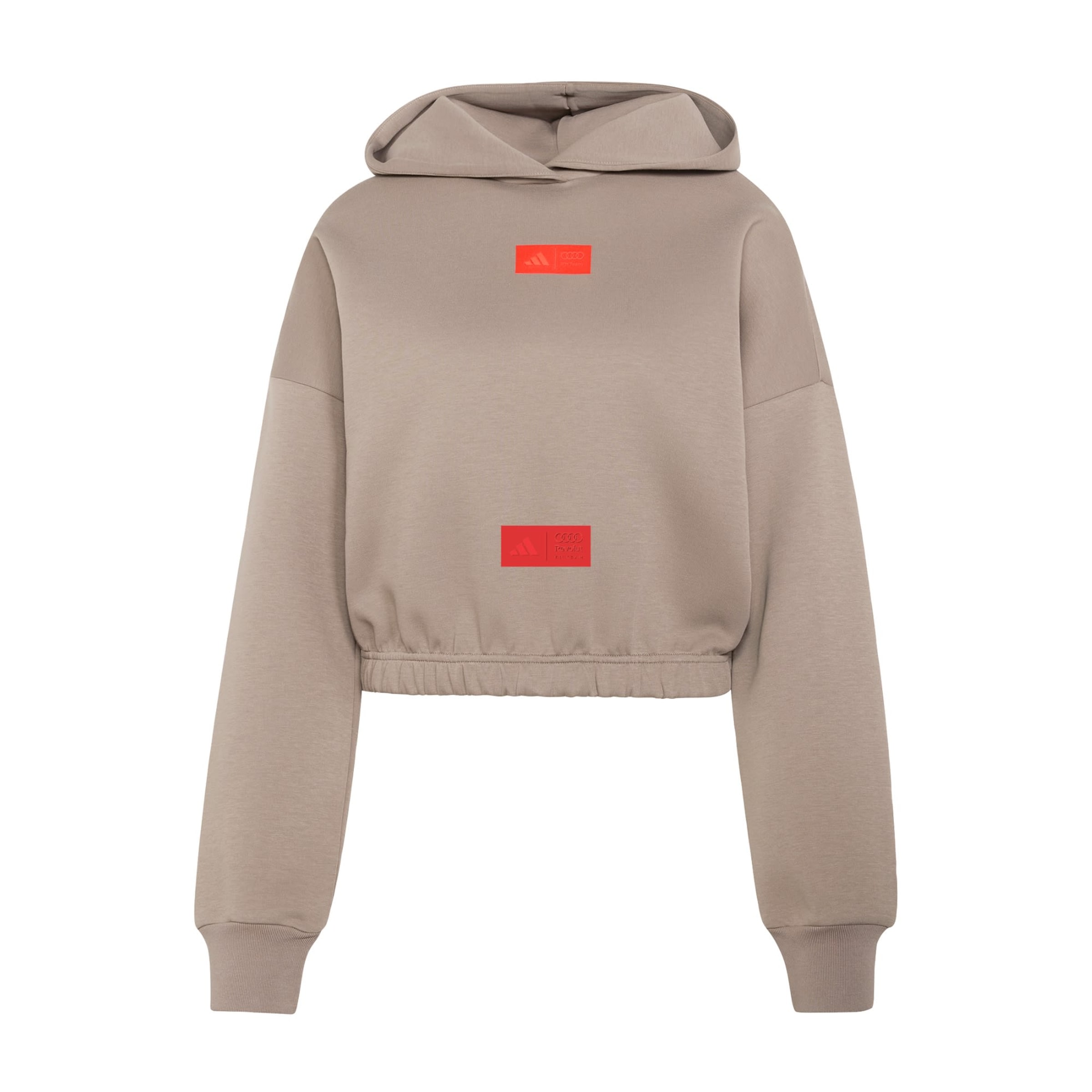 ADIDAS PERFORMANCE Sportief sweatshirt 'AUDI REVOLUT F1 TEAM ELEVATED' in Bruin: voorkant