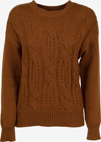 Influencer Sweter w kolorze brązowy: przód