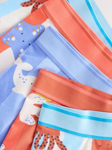 Next Underpants in Mixed colors