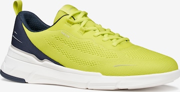 GEOX - Zapatillas deportivas bajas en verde: frente