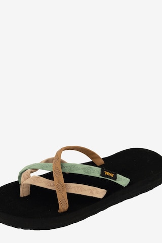 TEVA T-Bar Sandals 'Olowahu' in Mixed colors
