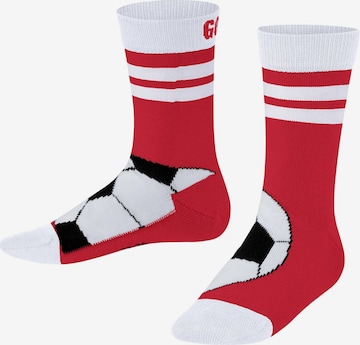 FALKE Socks 'Active Soccer' in Red: front
