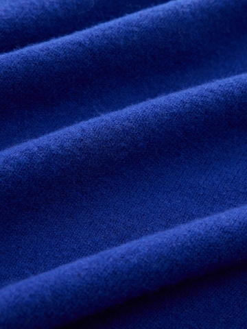 Next Sweater 'N. Premium' in Blue