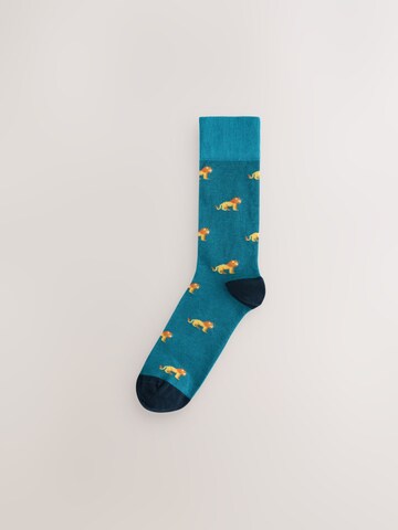 Next Socks in Blue