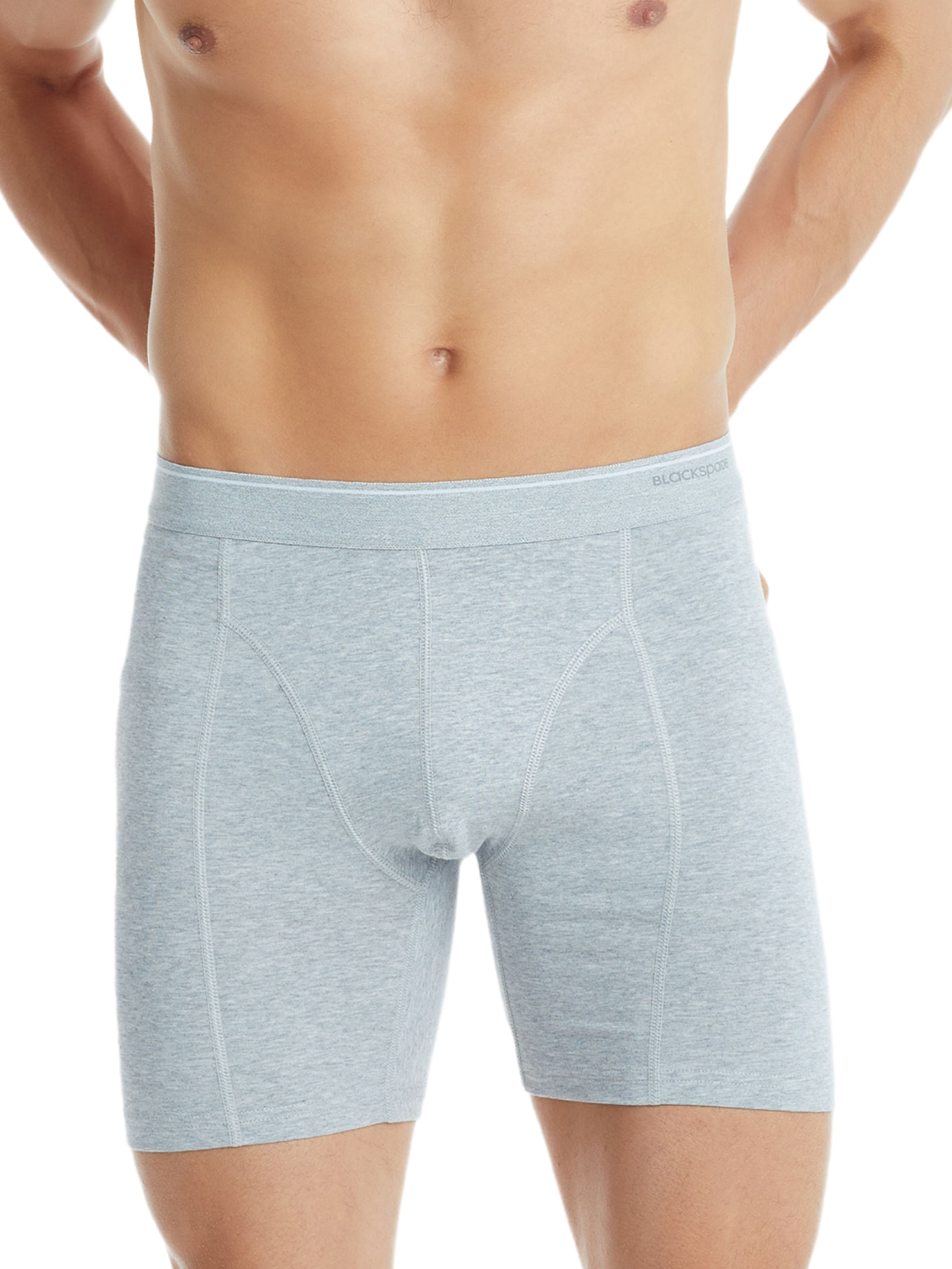 Blackspade Boxer shorts in Grey: front