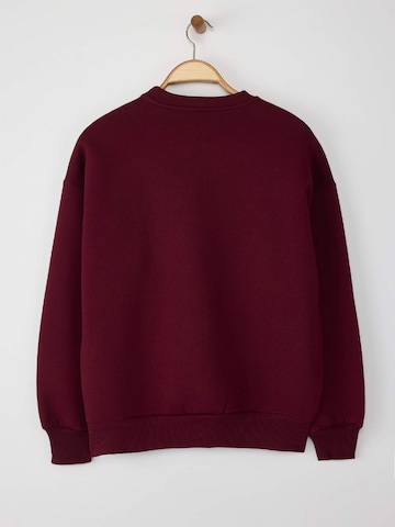 Trendyol Sweatshirt in Rood