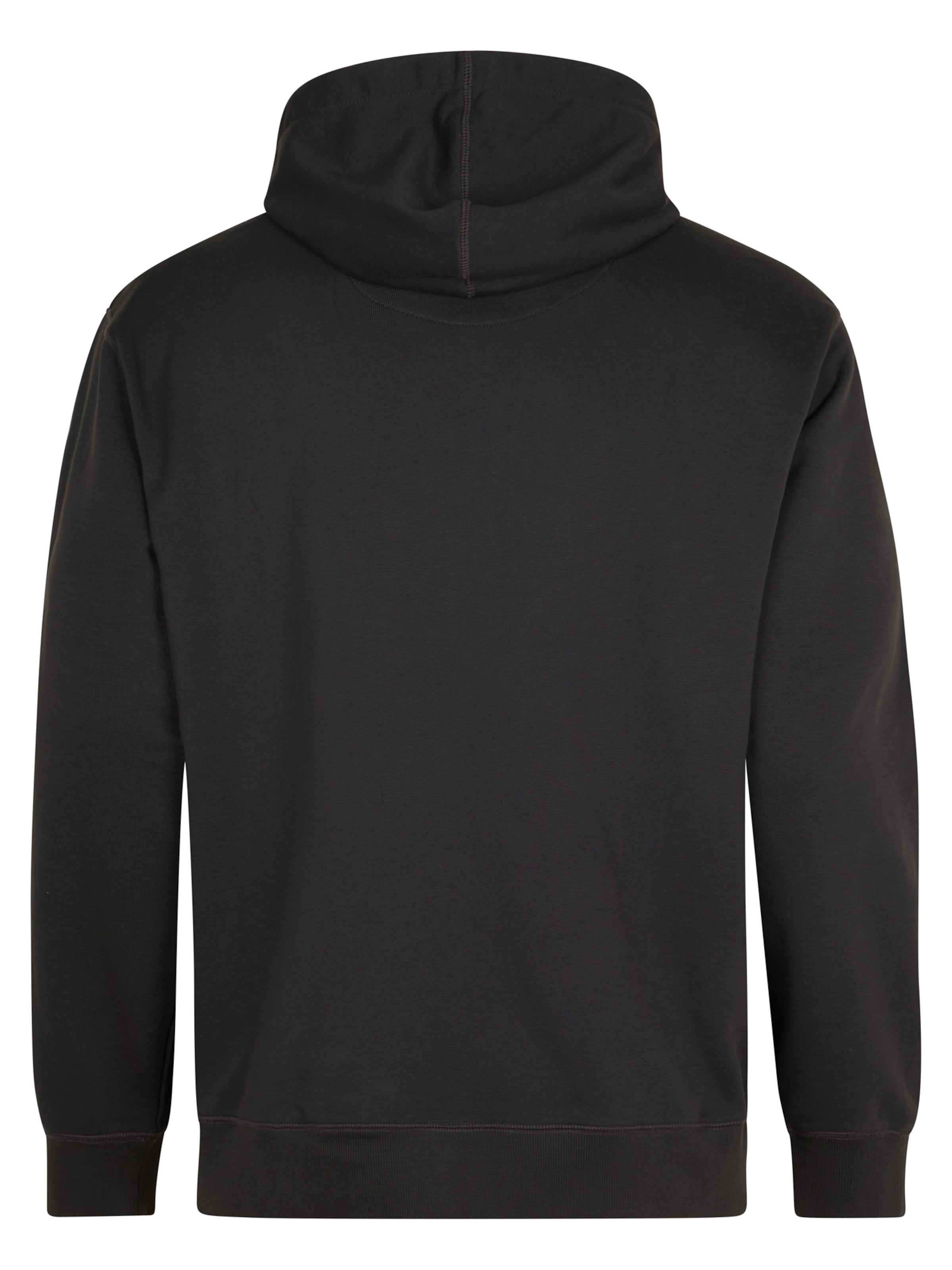 Petrol Industries Sweatshirt 'Ridgeview' in Black