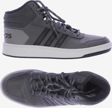 ADIDAS PERFORMANCE Sneakers & Trainers in 43,5 in Grey: front