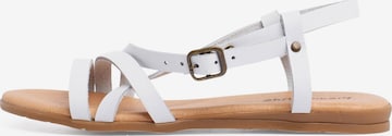 Sandalo di Pisamonas in bianco: frontale