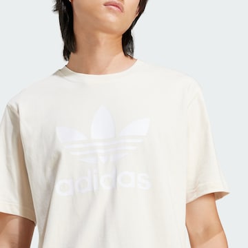 ADIDAS ORIGINALS Μπλουζάκι 'Adicolor Trefoil' σε μπεζ