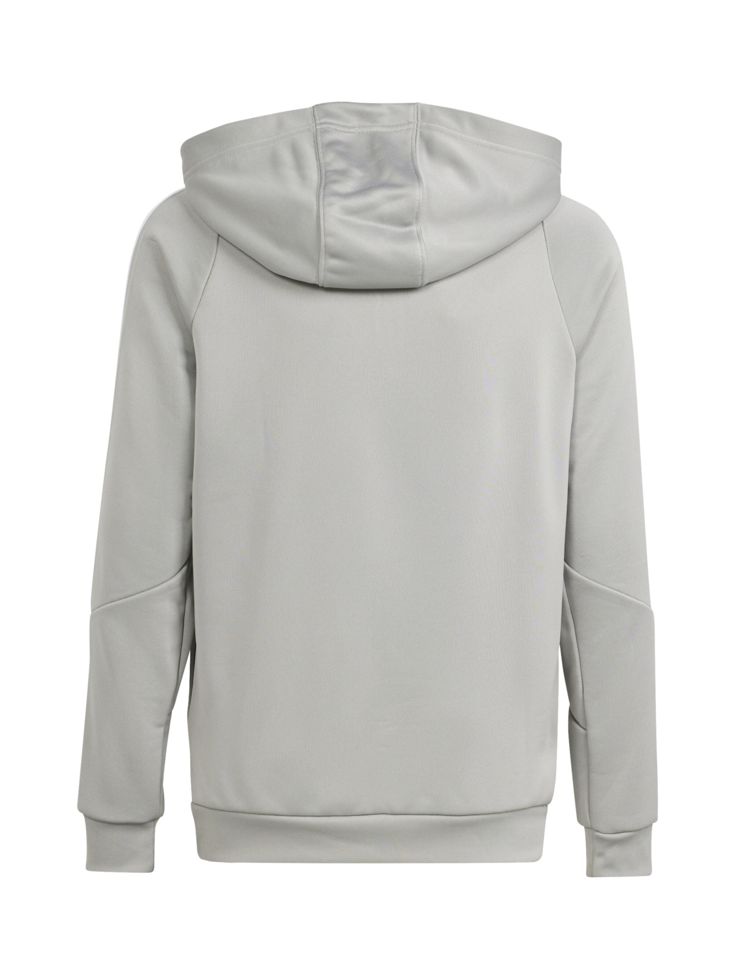 ADIDAS PERFORMANCE Sportsweatshirt in Grau