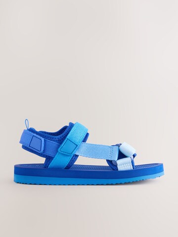 Next Open schoenen in Blauw