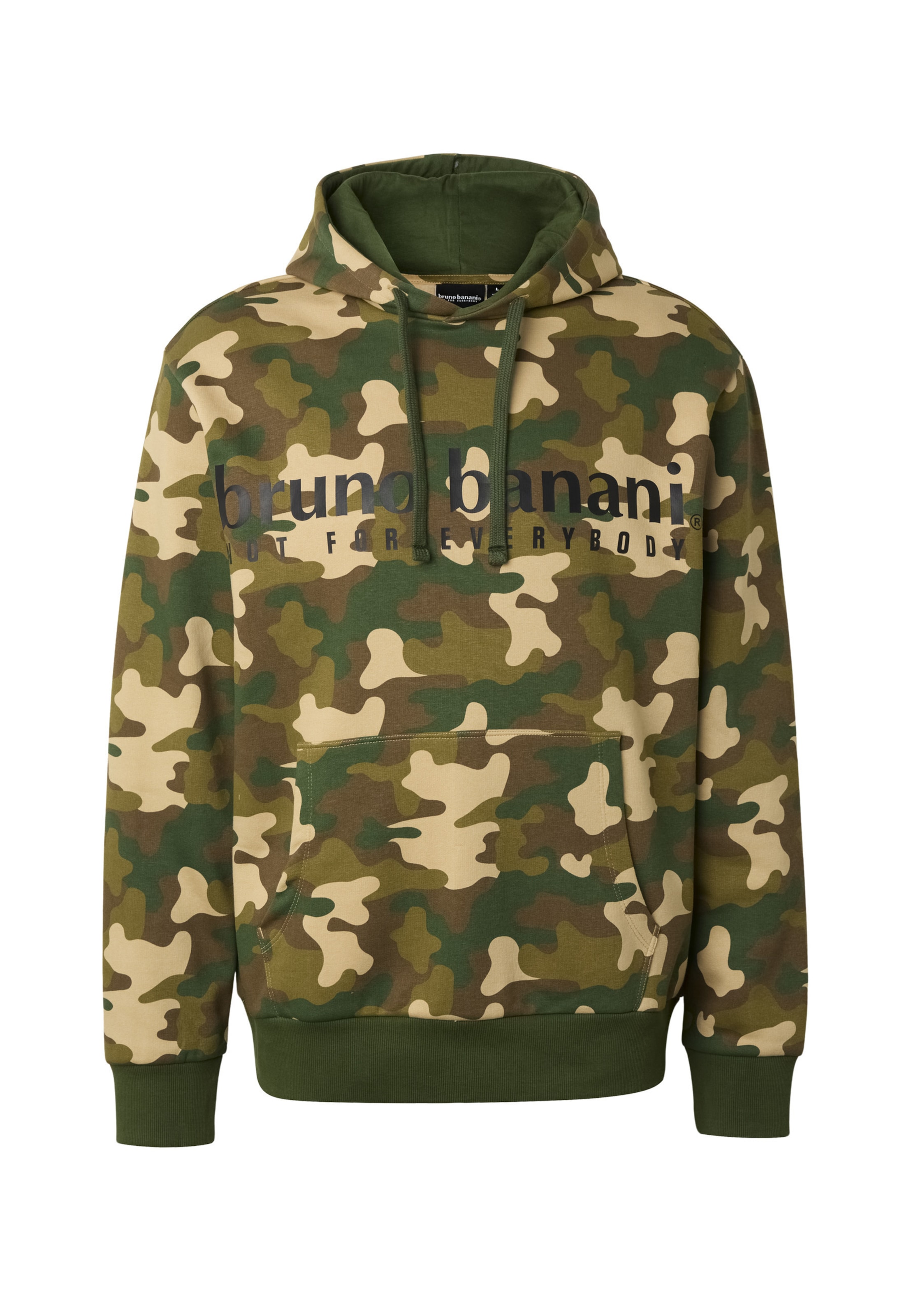 Felpa di Bruno Banani in verde: frontale