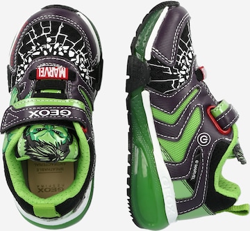 GEOX Sneakers 'Bayonyc' in Green