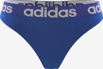 ADIDAS SPORTSWEAR Tanga ' Realasting Cotton ' in Blau