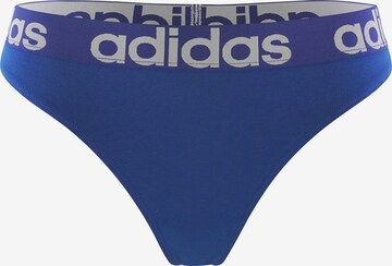 ADIDAS SPORTSWEAR Thong ' Realasting Cotton ' in Mixed colors