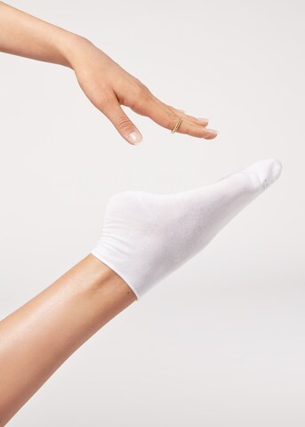CALZEDONIA Socks in White: front