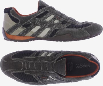 GEOX Sneakers & Trainers in 47 in Grey: front