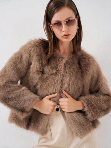 Bigdart Übergangsjacke in Braun