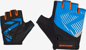 ZIENER Athletic Gloves in Blue: front