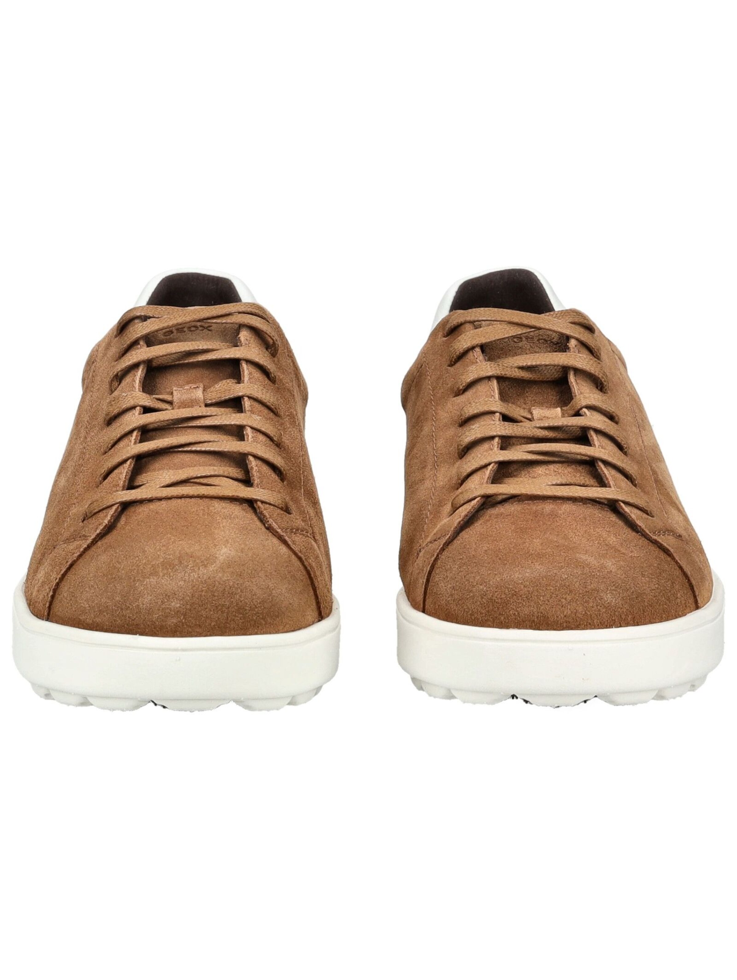 Sneaker bassa di GEOX in marrone