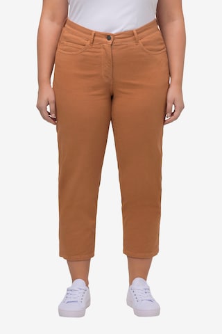 Ulla Popken Regular Jeans in Brown: front